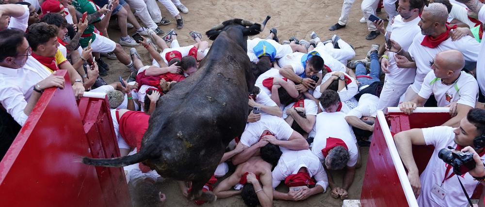 Auch dieses Jahr protestierten Tierschutzgruppen gegen die traditionsreiche Veranstaltung, die inzwischen aber auch in Spanien umstritten ist.