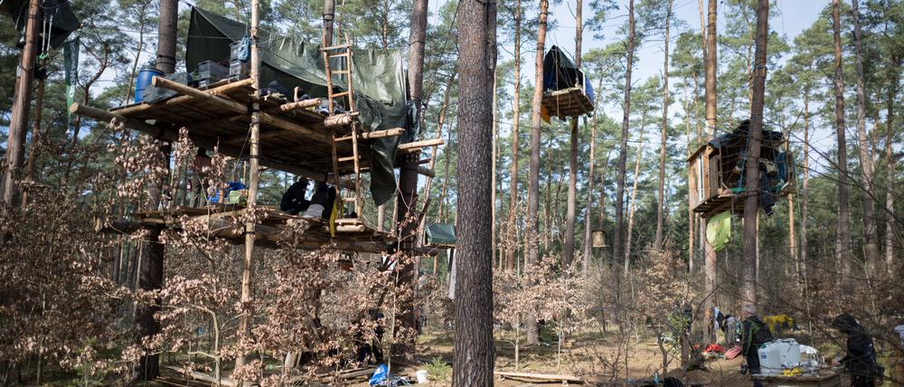 Baumhäuser hängen in einem Camp der Initiative «Tesla stoppen» in einem Kiefernwald nahe der Tesla-Gigafactory Berlin-Brandenburg. An diesem Freitag um 24 Uhr läuft die Genehmigung für das Camp ab.