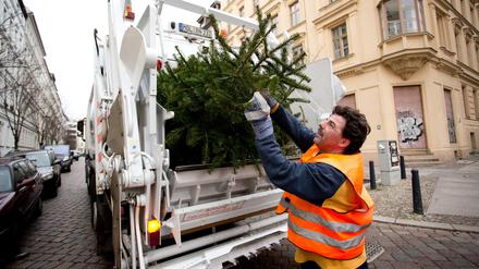 Mitarbeiter der Berliner Stadtreinigung sammelt in allen Stadtbezirken an jeweils zwei Tagen die ausgedienten Tannenbäume ab. (Archiv)