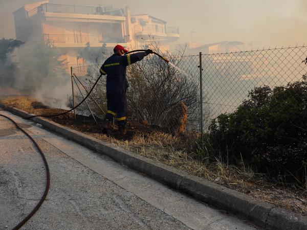 Ein Waldbrand erreichte die griechische Region Attika am Montag. 