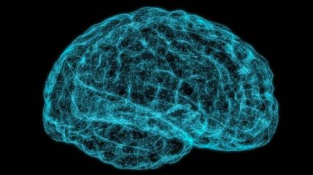 Lesen, Rechnen, Rätseln: Es sind die komplexen Denkvorgänge im Gehirn, die zum hohen Energieverbrauch des Organs führen. 