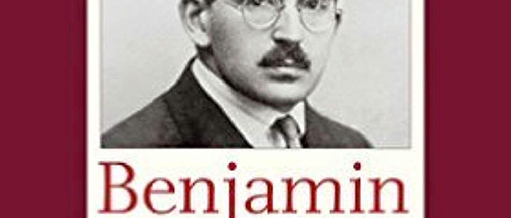 Cover der Sammlung "Begegnungen mit Benjamin"