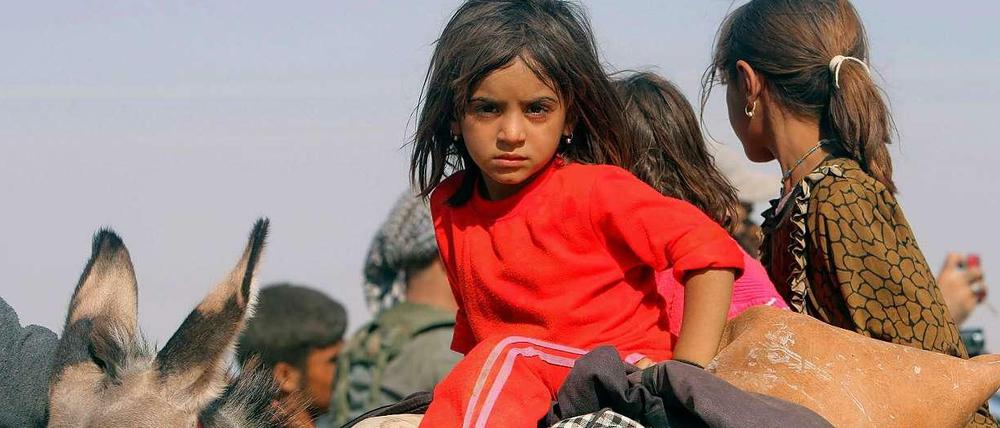 Ein jesidisches Mädchen sitzt auf einem Esel. Eine große Gruppe von Jesiden flüchtet vor den Terroristen des "Islamischen Staats" aus dem Irak über die Grenze nach Syrien.