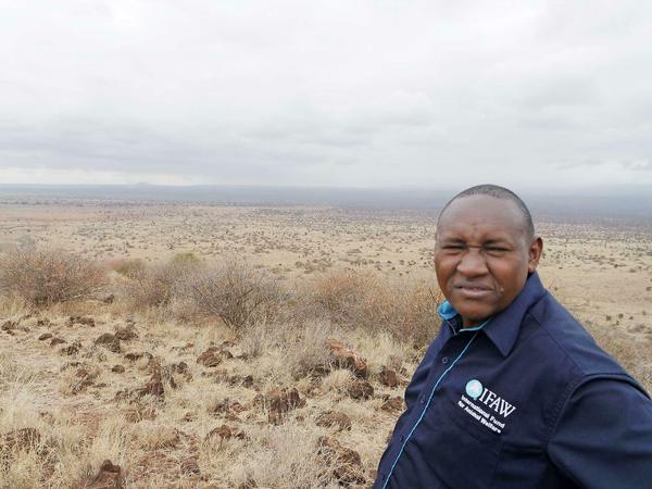 Maasai-Land. Bernard Tulito auf dem Lenomo Hill mit Blick auf den Kitenden-Korridor.