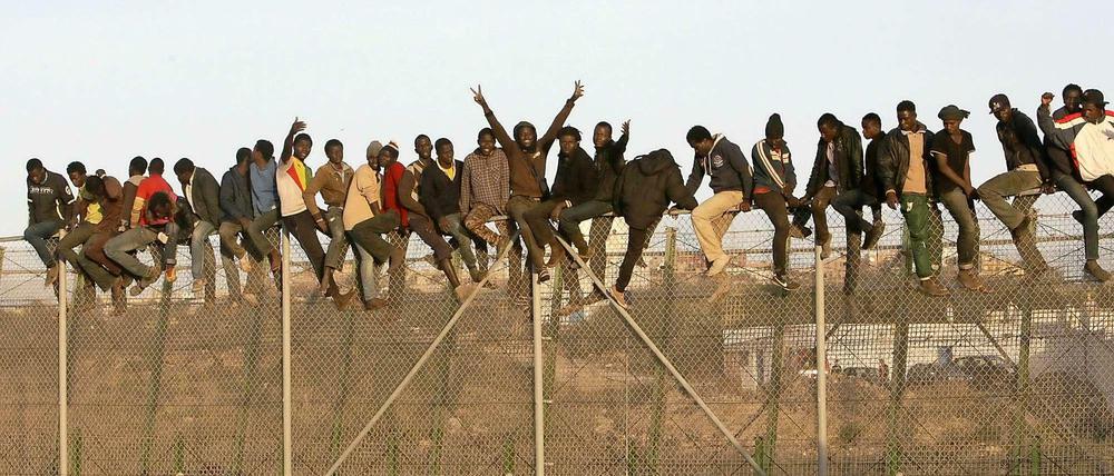 (Noch nicht) angekommen: Afrikanische Migranten auf einem Grenzzaun der spanischen Enklave Melilla in Marokko.