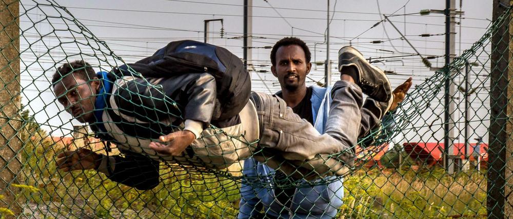 Eritreer verlassen ihre Heimat in Scharen und gehen durch die Hölle der Banditenbanden, die sie im Sudan oder auf dem Sinai entführen, foltern und oft auch töten. Wer das überlebt und auch das Mittelmeer überstanden hat, standet dann an Orten wie dem Dschungel von Calais wie diese beiden jungen Männer. 