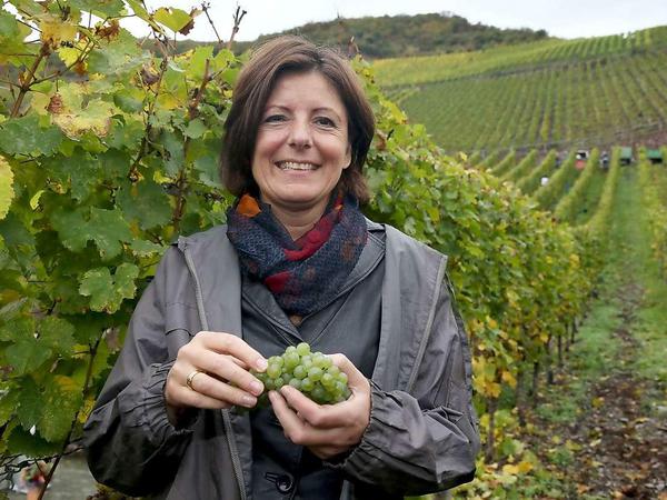 Weinanbau - daran kommt kein Ministerpräsident in Rheinland-Pfalz herum. Warum auch? Vermutlich gehört der Wein auch zur sozialen Kompetenz in diesem Bundesland...