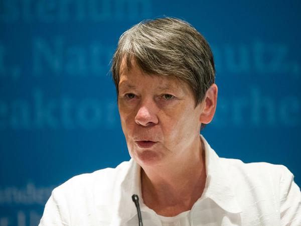 Umweltministerin Barbara Hendricks (SPD).
