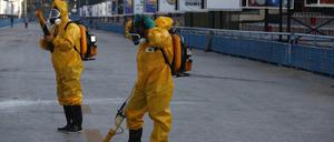 Arbeiter gehen in Rio de Janeiro mit Desinfektionsmittel gegen Moskito-Nester vor. 