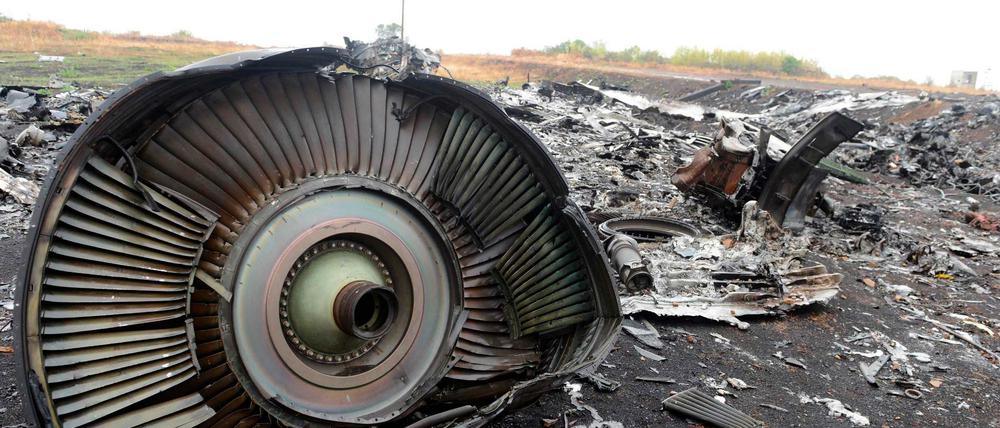 Trümmerteile des Flugzeugs MH17 an der Absturzstelle. 