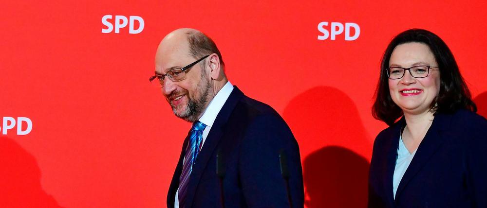 Andrea Nahles soll Martin Schulz als SPD-Vorsitzende beerben.