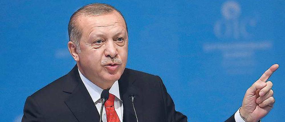 Der türkische Präsident setzt bei den Protesten gegen Trumps Vorstoß auf eine harte Linie. Doch einige islamische Länder wollen ihm dabei nicht folgen. 