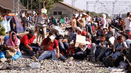 In der kroatischen Stadt Tovarnik an der Grenze zu Serbien warten hunderte Flüchtlinge auf Züge, die sie durchs Land gen Westen bringen. Mit Pappe versuchen sie sich vor Hitze und Sonne zu schützen.