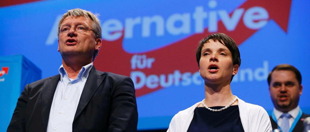 Die AfD-Vorsitzende Frauke Petry und AfD-Bundessprecher Jörg Meuthen singen am Ende des Parteitages in Stuttgart. 