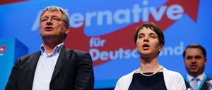 Die AfD-Vorsitzende Frauke Petry und AfD-Bundessprecher Jörg Meuthen singen am Ende des Parteitages in Stuttgart. 