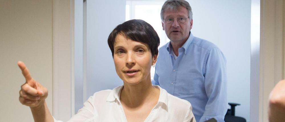 Die zerstrittenen AfD-Chefs Frauke Petry und Jörg Meuthen.