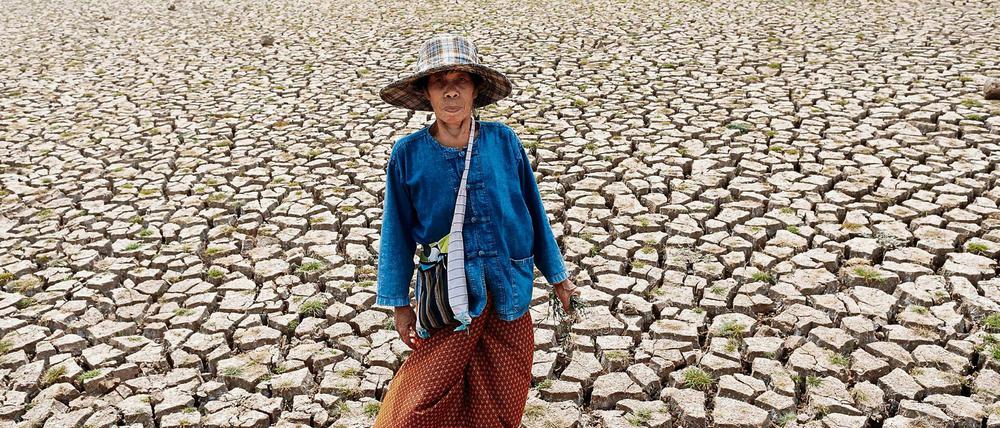 Was wird eigentlich aus den Opfern von Naturkatastrophen wie der aktuellen Dürre in Thailand, die nicht genug Geld haben, um ihre Heimat zu verlassen? Das fragt sich Susanne Melde von der Internationalen Organisation für Migration (IOM). 