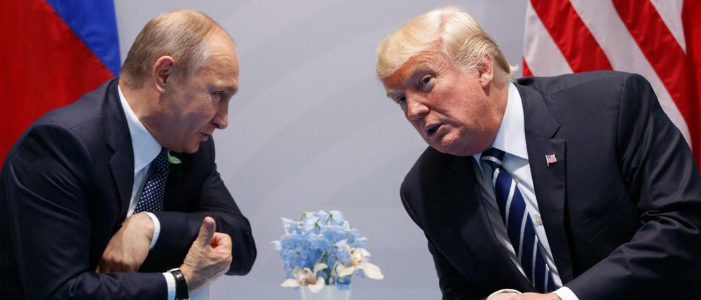 ARCHIV- US-Präsident Donald Trump spricht am 07.07.2017 in Hamburg mit dem russische Präsident Wladimir Putin während eines Treffens beim G20-Gipfel. 