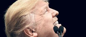 Zweifel am Wahlergebnis: Der designierte US-Präsident Donald Trump 