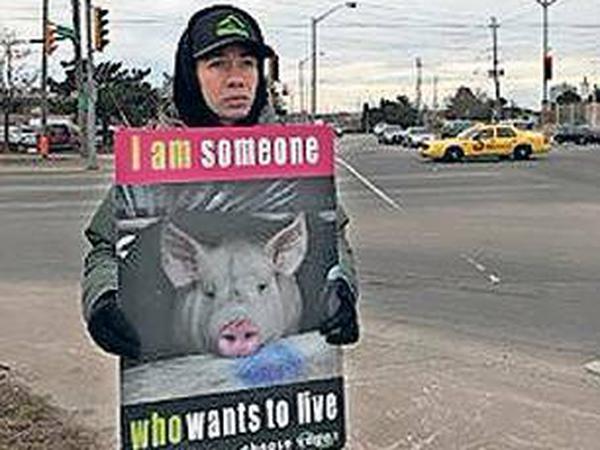 In seiner Heimat Kanada setzt er sich für das Tierwohl ein. Hier protestiert er vor einem Schlachthaus in Burlington Ontario, wo jeden Tag 10.000 Schweine getötet werden.