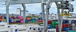 Ein Kran verlädt Container im Handelshafen des Rhein-Neckar-Hafens.