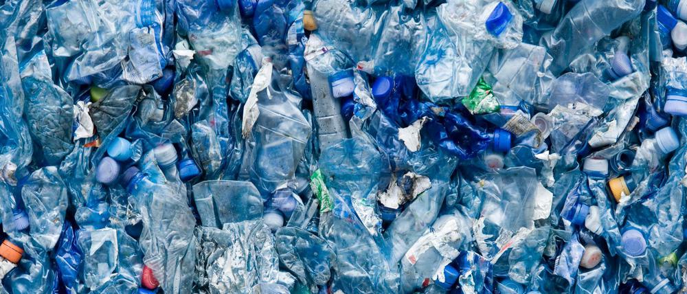 Verpackungen aus Kunststoff sind ein großes Problem. Sie machen in der EU 60 Prozent des Plastikmülls aus. 