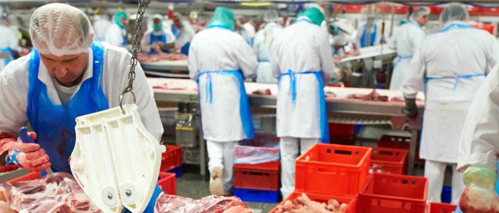 Die sechs größten Fleischunternehmen haben die Selbstverpflichtung für bessere Arbeitsbedingungen in der Branche unterzeichnet.