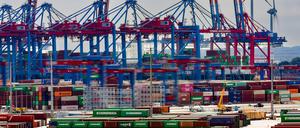 Der Hamburger Hafen spielt für die exportorientierte Wirtschaft Deutschlands eine große Rolle.