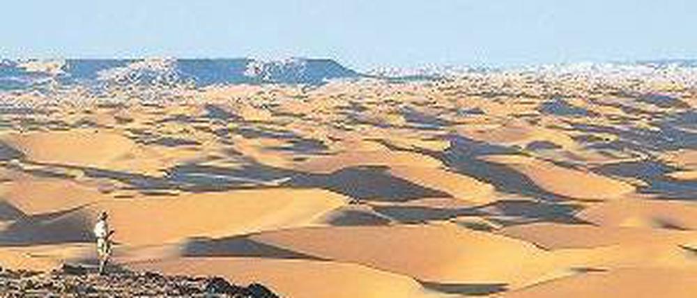 Brennender Sand, sengende Sonne. Bis 2050 will die Desertec-Initiative rund 400 Milliarden Euro in solarthermische Anlagen und Windräder in der Sahara investieren. Foto: ddp