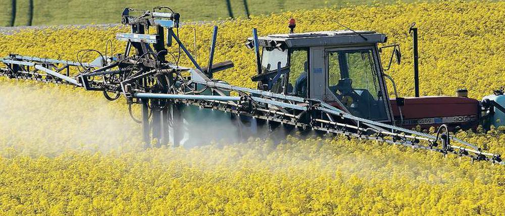 Über Jahrzehnte haben Landwirte Breitbandherbizide auf Glyphosat-Basis auf ihre Felder gebracht und wollen darauf nicht mehr verzichten. 