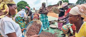 Für ihre Kakaoernte bekommt eine durchschnittliche Bauernfamilie kaum mehr als 170 Euro im Monat.