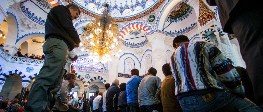 Gläubige beten in der Sehitlik-Moschee. Auch dieses islamische Gotteshaus war am Montag geöffnet. 