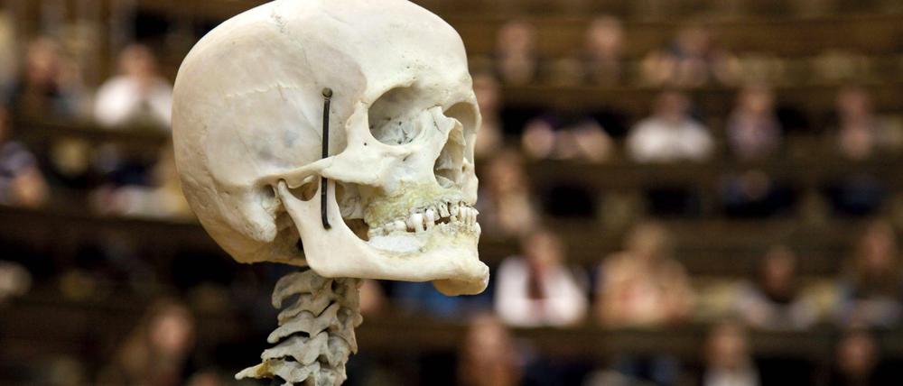 Anatomievorlesung für Studenten der Humanmedizin am Anatomischen Institut der Universität Leipzig, 