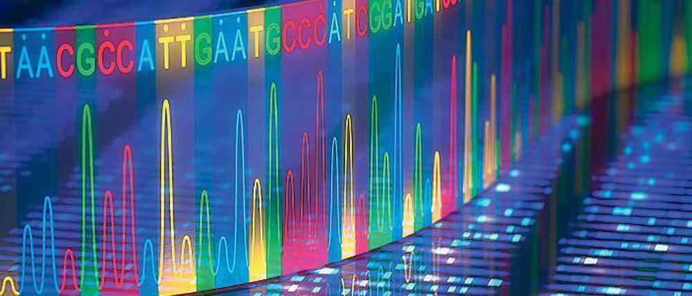 Zum menschlichen Genom, aber auch zum Proteom – der Gesamtheit aller Eiweiße – werden heute in kurzer Zeit riesige Datenmengen erhoben.