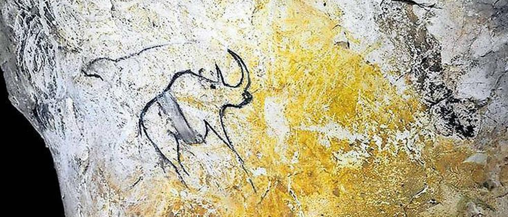 Nashorn aus der Steinzeit. Die Chauvet-Höhle ist berühmt für ihre mehr als 1000 Wandmalereien. Darunter findet sich auch dieses Rhinozeros. 
