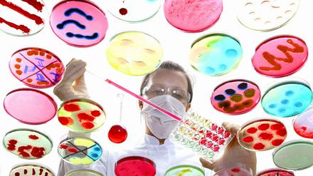Eine Forscherin arbeitet im Labor mit Bakterienkulturen.