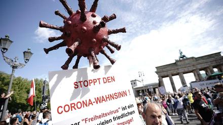 Ein Demonstrant trägt ein Schild mit der Aufschrift "Stoppt den Corona-Wahnsinn".