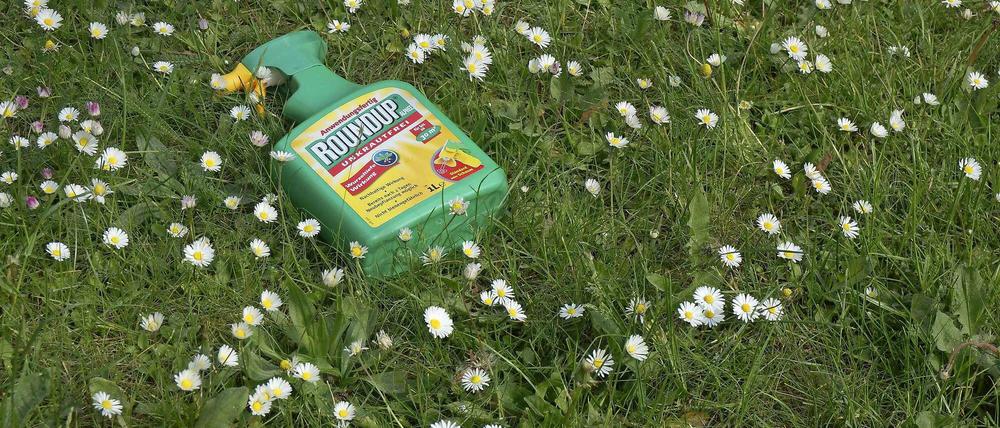 Gift im Gras. Auf einer Wiese mit Gänseblümchen liegt eine grüne Sprühflasche mit dem Unkrautmittel "Roundup". Es enthält Glyphosat.