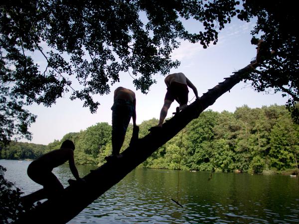 Ort für Mutproben: Die Jugend misst sich hier gern im Baumspringen