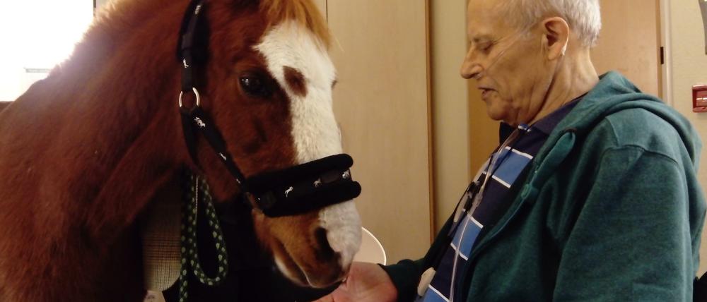 Viele Sinneseindrücke machen den Besuch des Ponys 13 zu einem großen Erlebnis für die Gäste des Hospizes in Wannsee