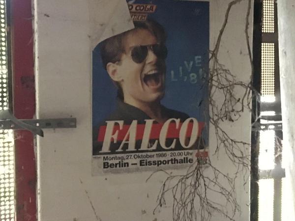 Das Falco-Plakat entdeckte ich hinter der Kneipentür. Na, wer kennt noch die Eissporthalle?