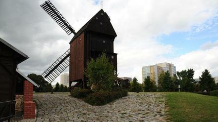 Die Marzahner Bockwindmühle von hinten gesehen vor Plattenbaukulisse.