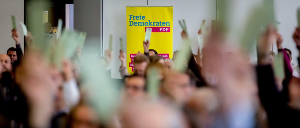 Mitglieder der Brandenburger FDP bei einer Abstimmung auf einem Landesparteitag. 