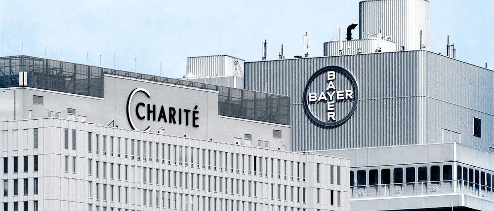 Charite und Bayer machen gemeinsame Sache.
