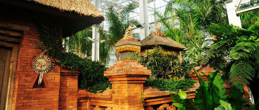 Exotisch: Die neue Tropenhalle "Balinesischer Garten".