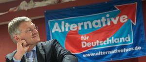 Der Baden-Württembergische AfD Vorsitzende und Spitzenkandidat der AfD zur Landtagswahl 2016, Jörg Meuthen