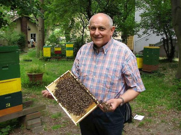 Benedikt Polaczek hat sein Leben den Bienen gewidmet