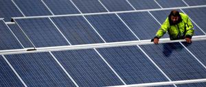 In Brandenburg werden fast jede Woche Solarpaneele geklaut.