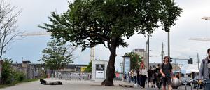 Bespuckt, bepinkelt und angezündet. Diesem Baum auf der Warschauer Straße ist nichts Menschliches fremd. 