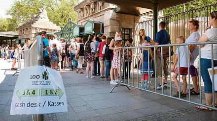 Eingang des Berliner Zoos am Hardenbergplatz: Um die Schlangen der Wartenden besser zu organisieren wurden jetzt Absperrgitter aufgestellt. 